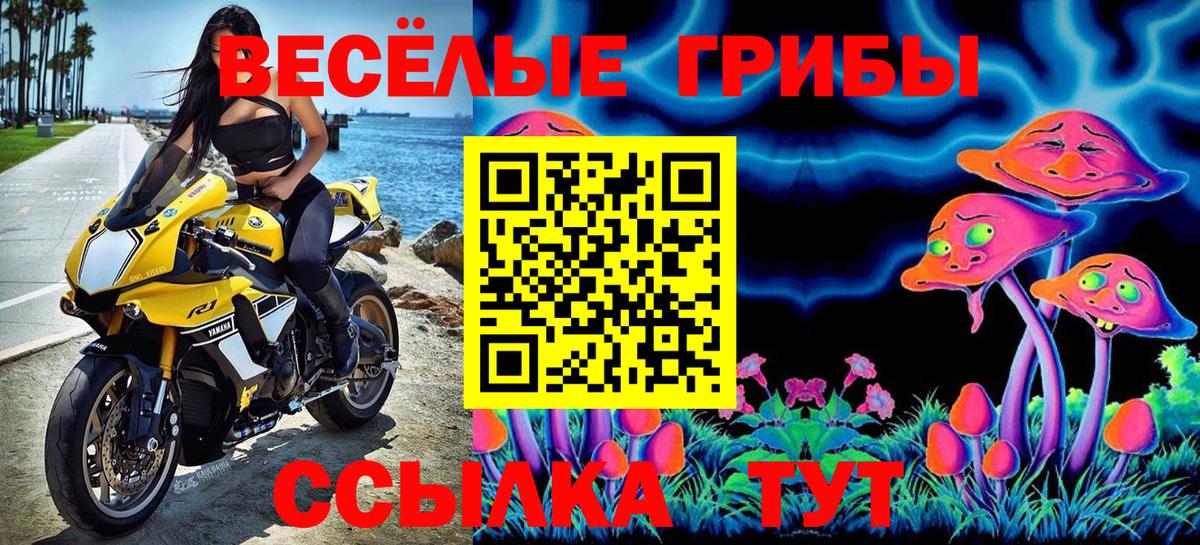 Канабис  КОКАИН  Ачхой-Мартан  МЕФ   ГАШИШ  Метамфетамин 