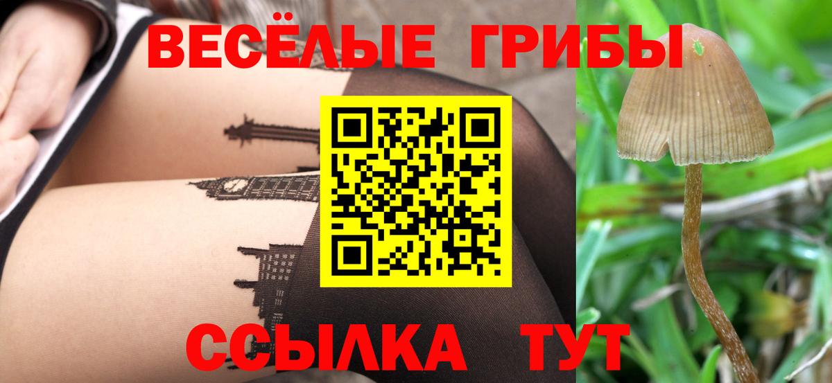 Ачхой-Мартан  Галлюциногенные грибы Magic Shrooms  Вход с VPN 