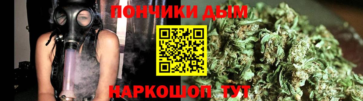 Марихуана конопля Ачхой-Мартан